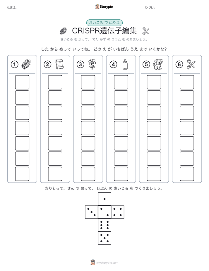 ロール＆カラー