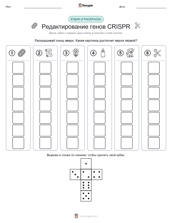 Катать и раскрашивать