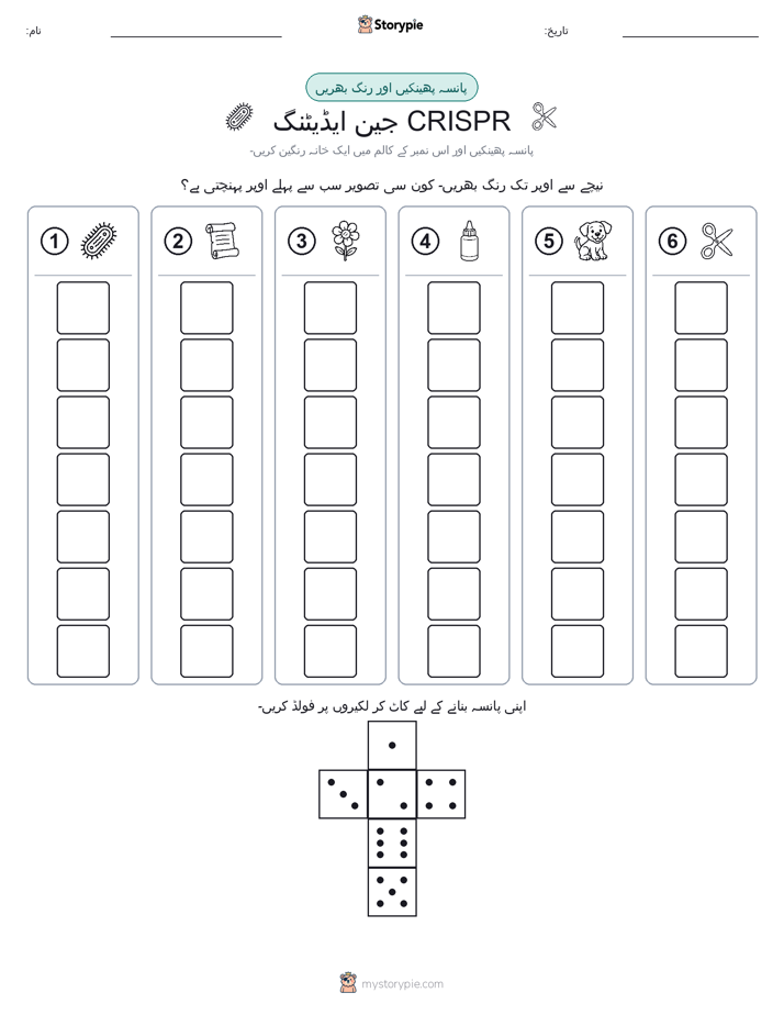رول اور رنگ