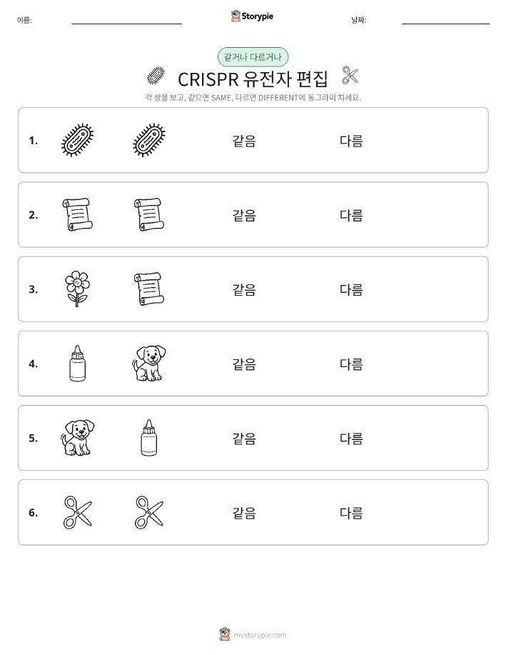 같은 것 또는 다른 것