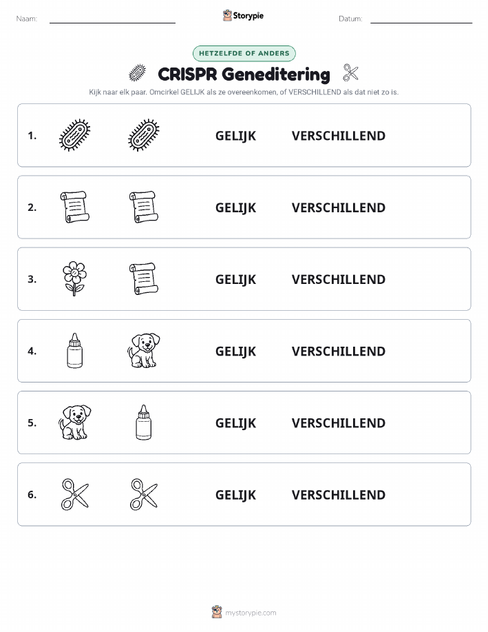 Zelfde of Verschillend