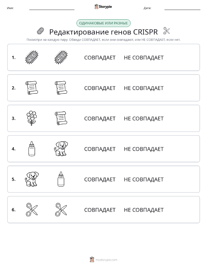 Одинаковое или разное