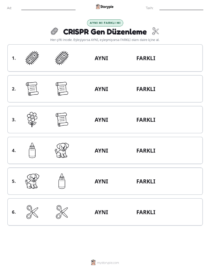 Aynı mı Farklı mı