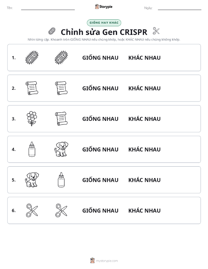 Giống Hay Khác
