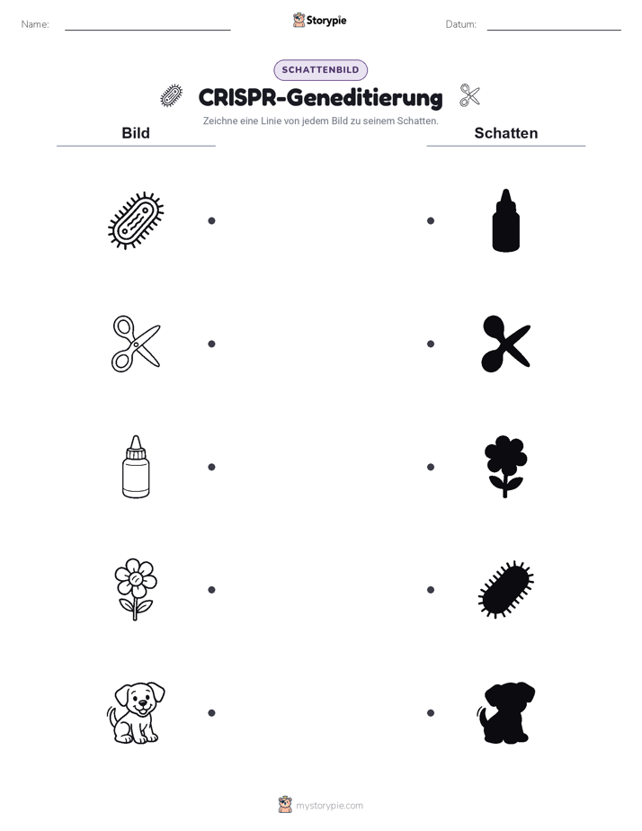 Schattenmatch