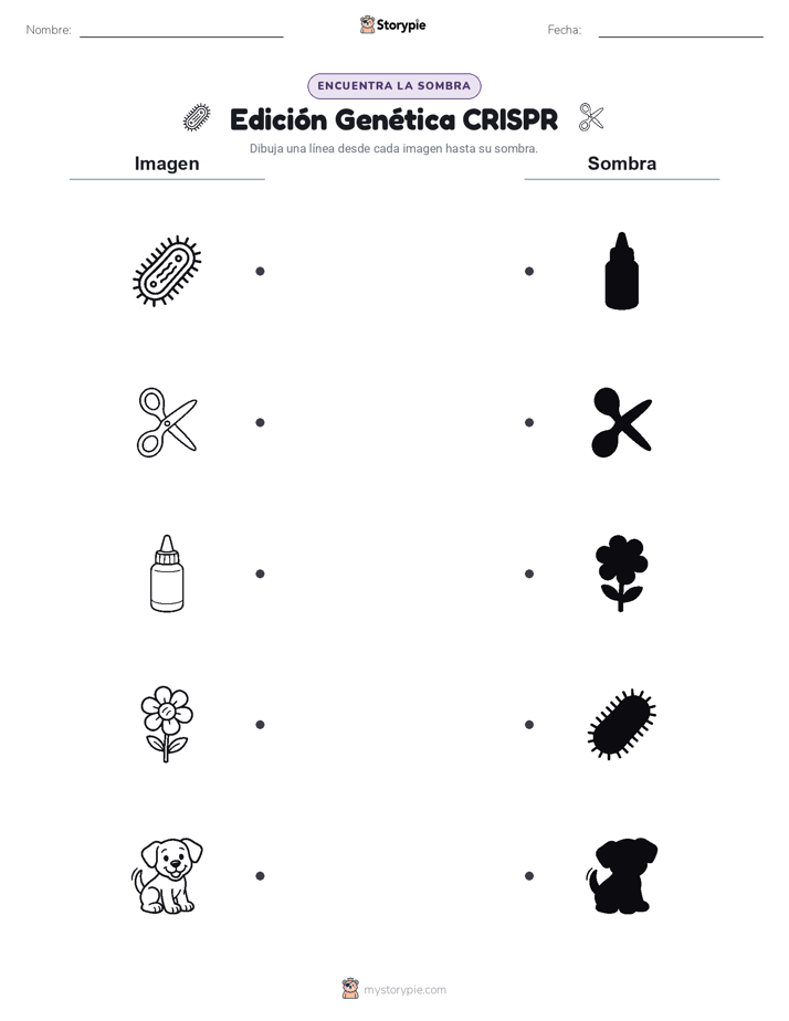 Coincidencia de Sombras
