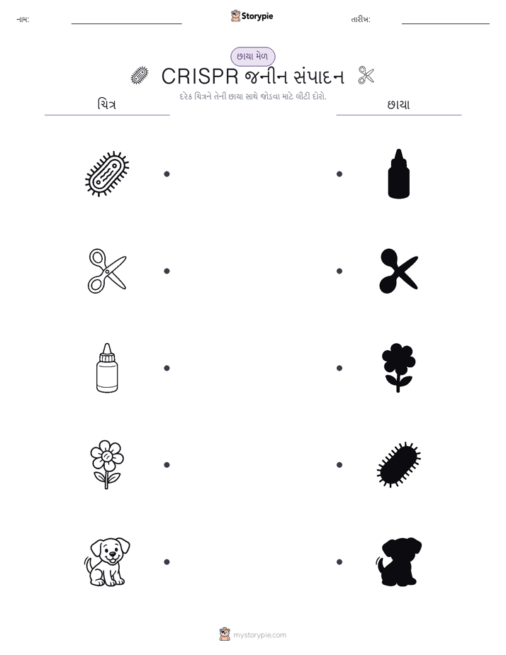 શેડો મેચ