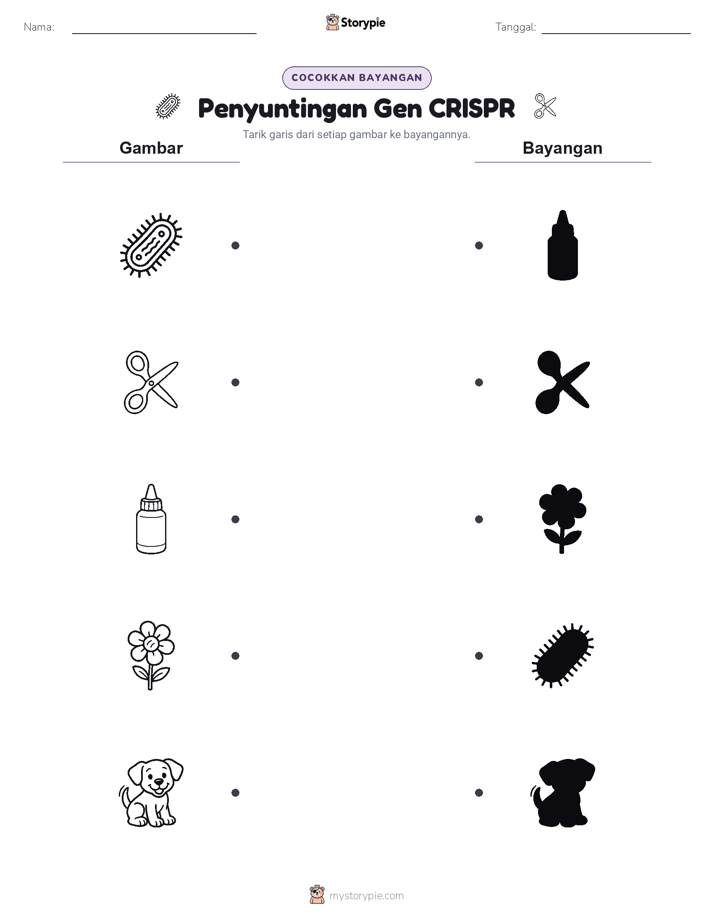 Cocokkan Bayangan