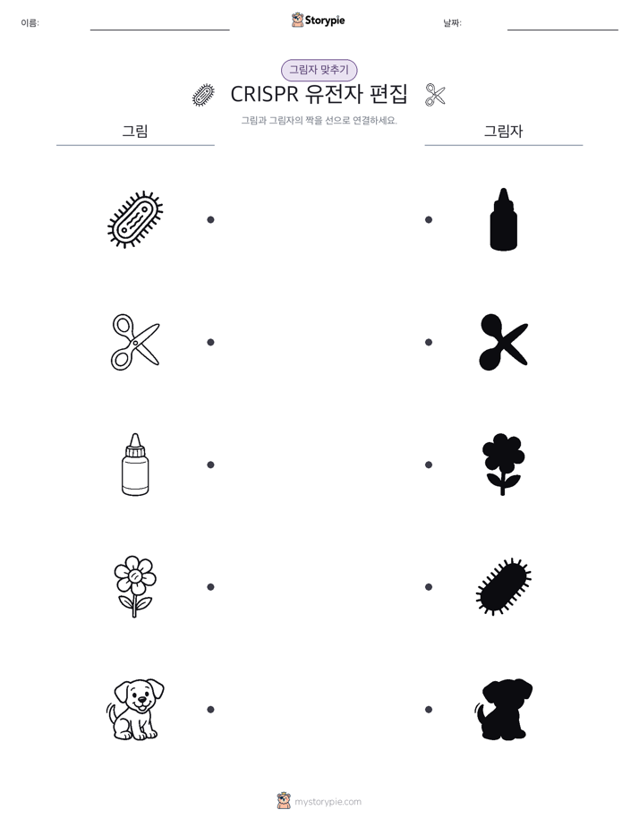 그림자 맞추기