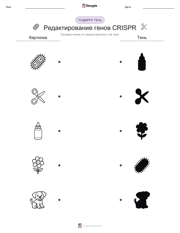 Сопоставление теней