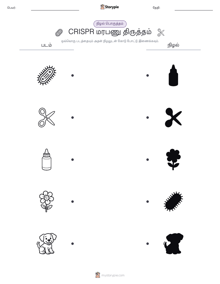நிழல் பொருத்தம்