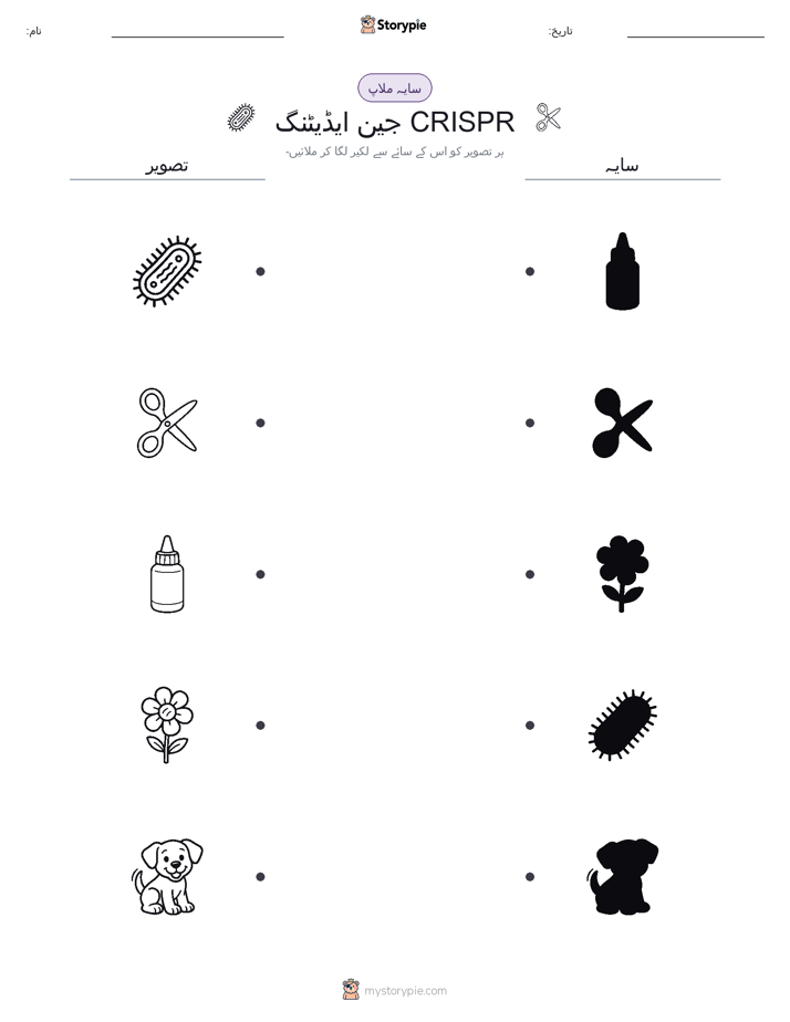 سایہ ملائیں