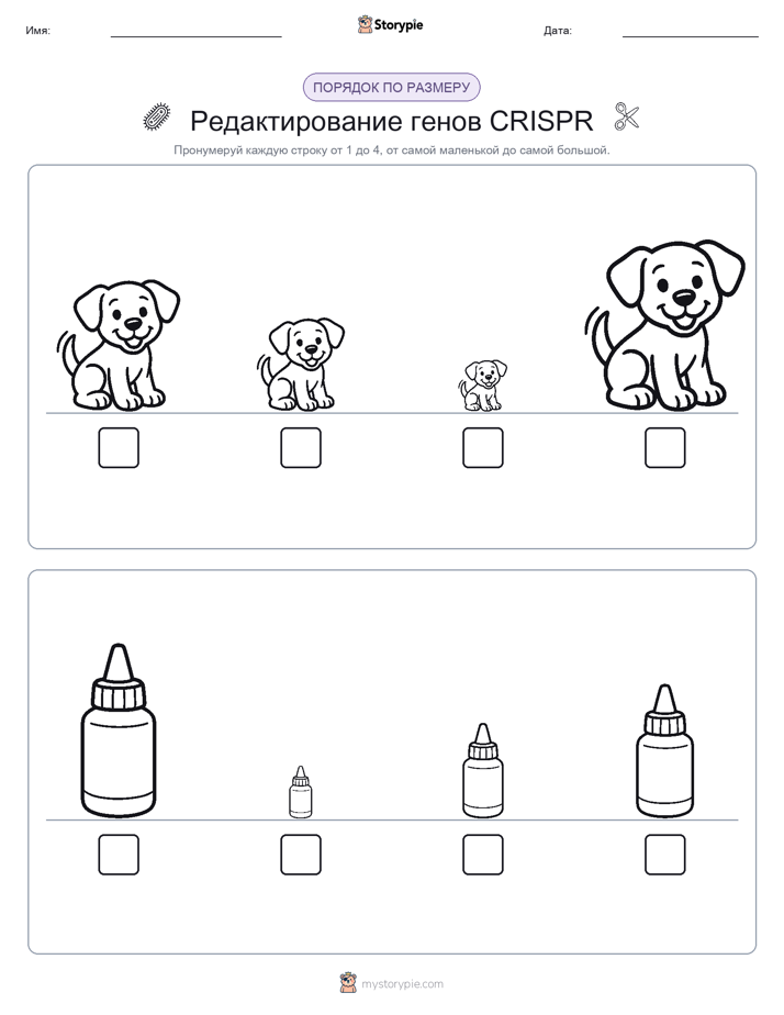 Размеры в порядке
