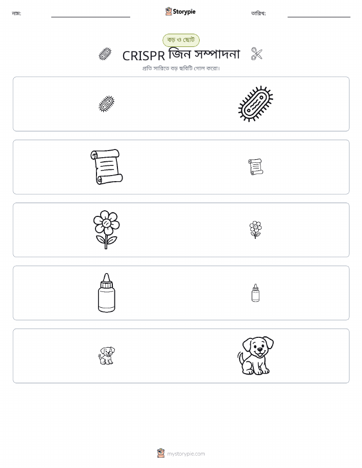 সাজানো
