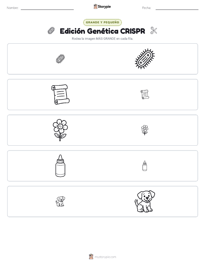 Clasificación