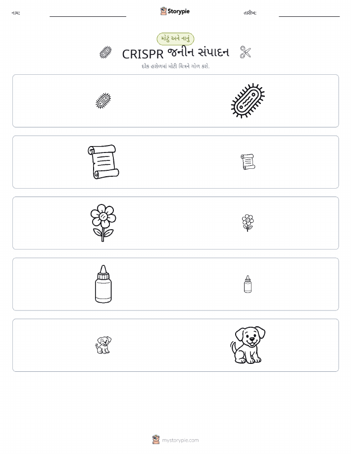 વર્ગીકરણ