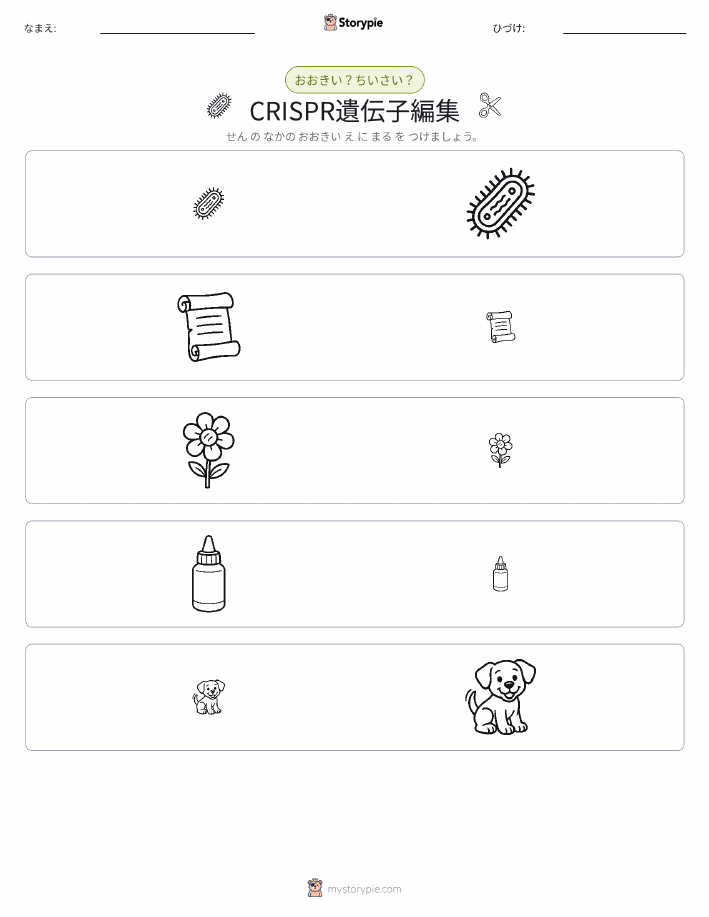 ソーティング