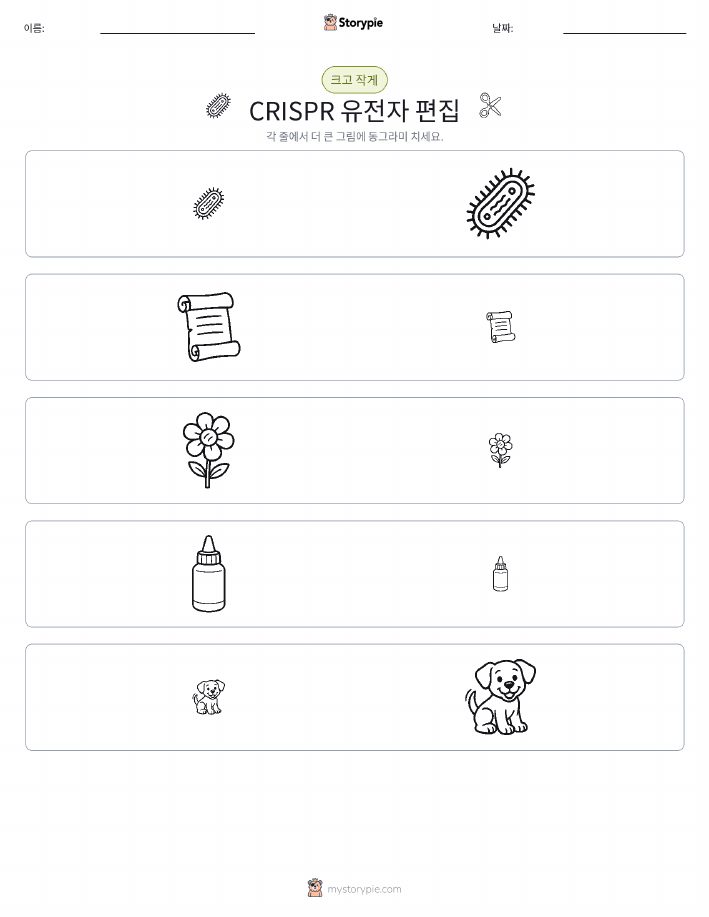 정렬