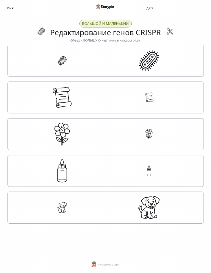 Сортировка