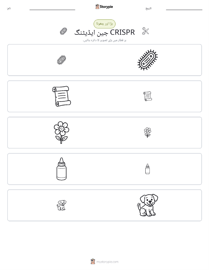 ترتیب دینا
