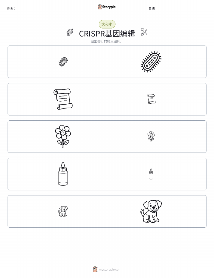 分类
