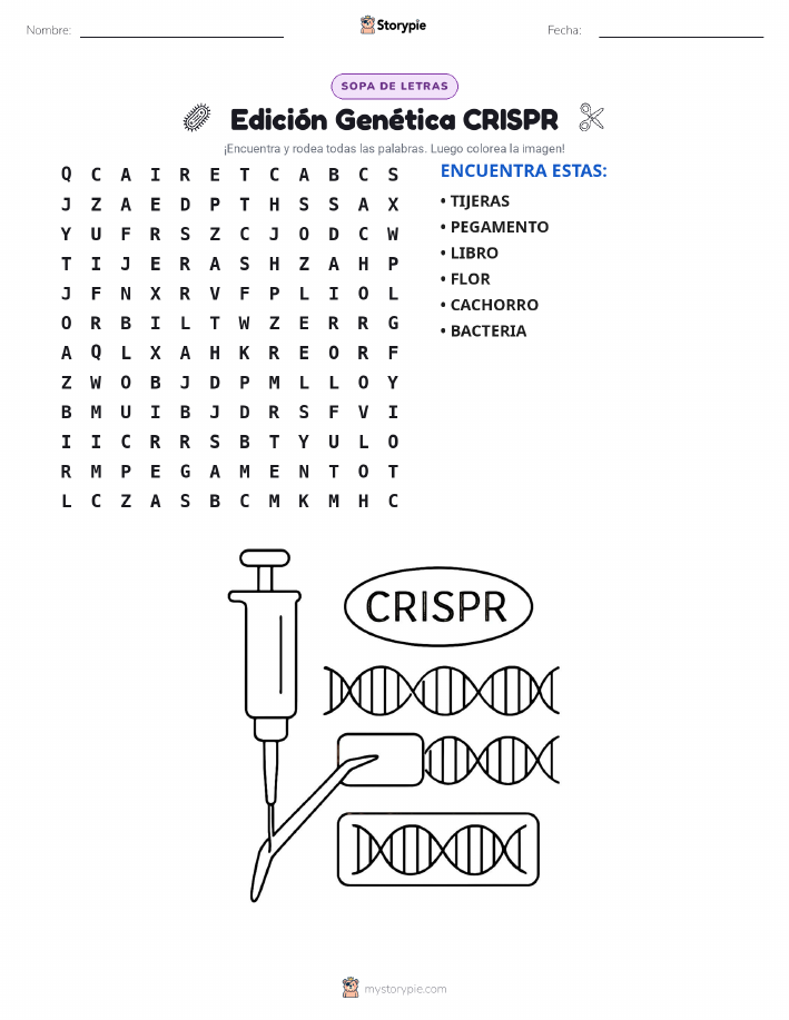 Sopa de Letras