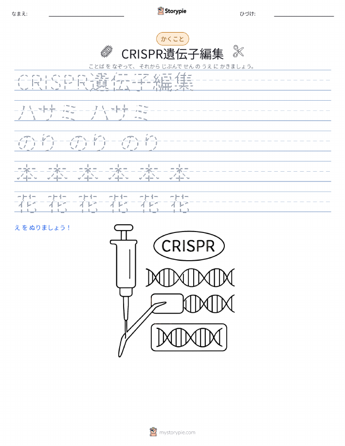 書き取り練習