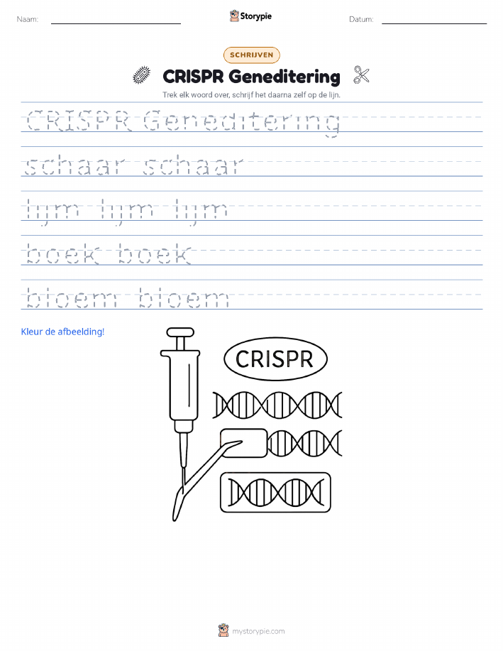 Schrijf Oefening