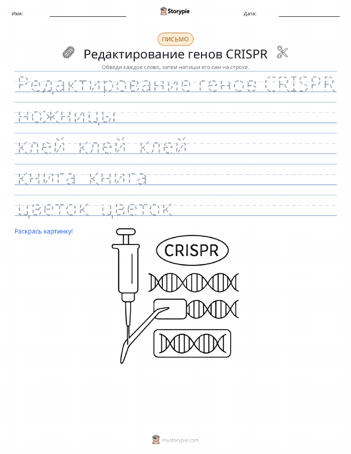 Практика письма