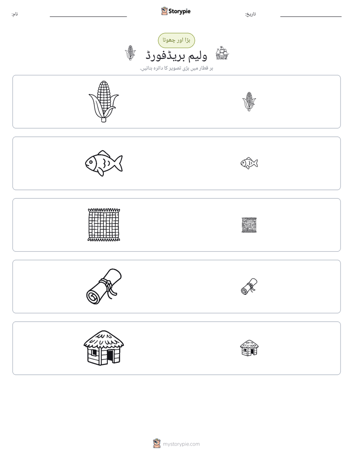 ترتیب دینا