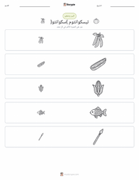 معاينة ورقة العمل القابلة للطباعة سكوانتو (تيسكوانتوم)
