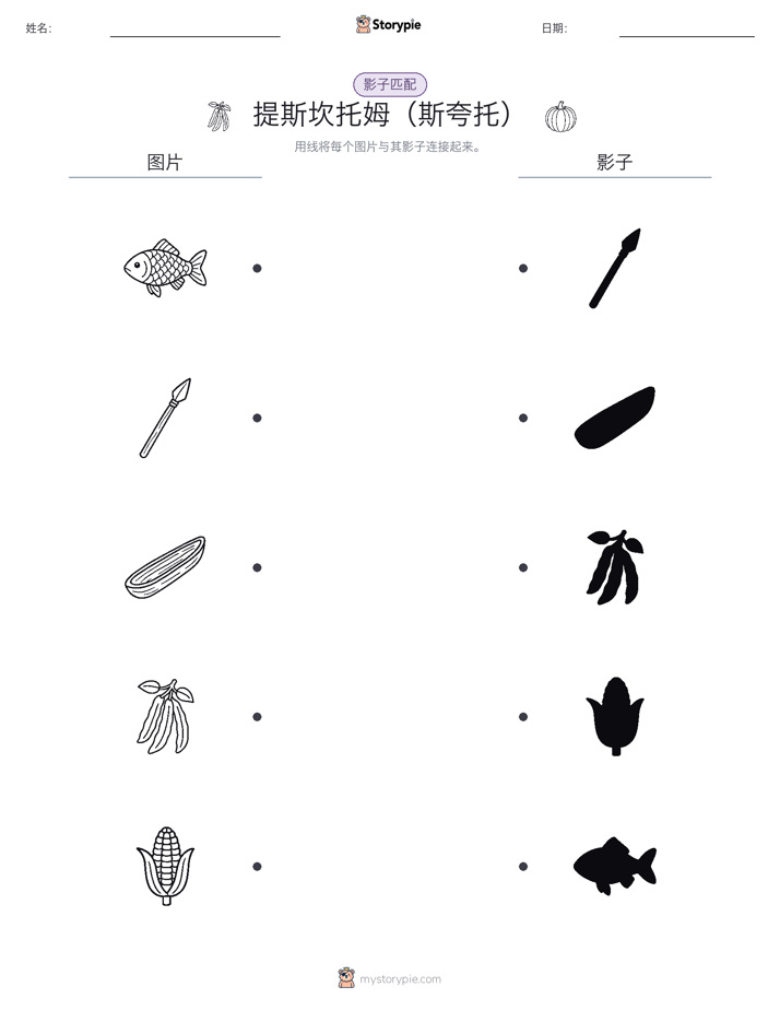 影子匹配