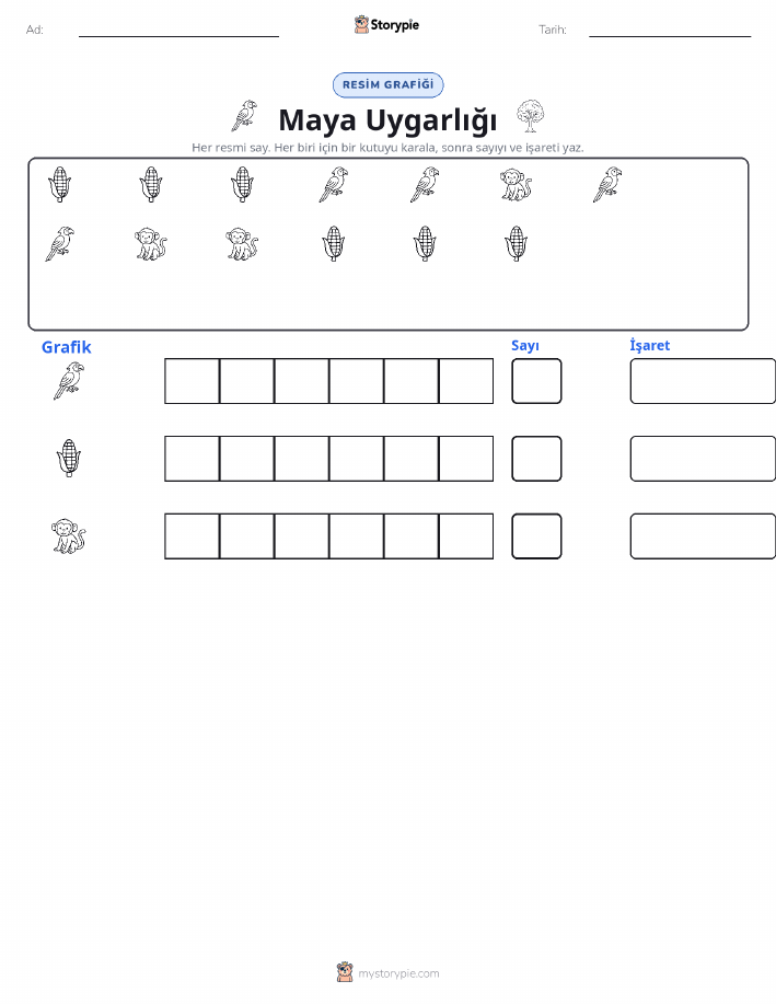 Say & Grafik