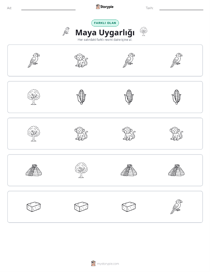 Farklı Olanı Bul