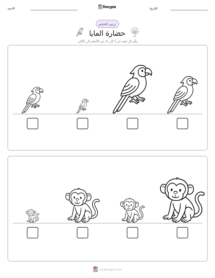 ترتيب الحجم