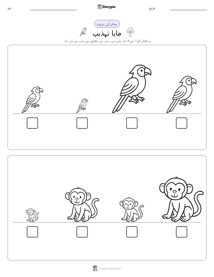 سائز کی ترتیب