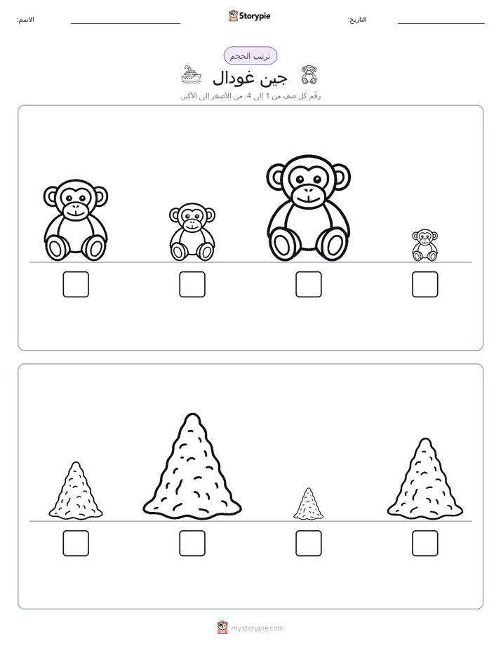 ترتيب الحجم