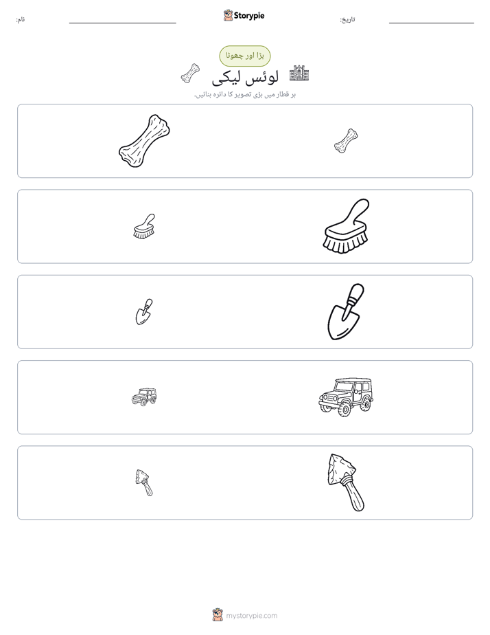 ترتیب دینا