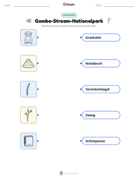 Gombe-Stream-Nationalpark druckbare Arbeitsblatt Vorschau