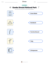 Gombe Stream National Park printable worksheet preview