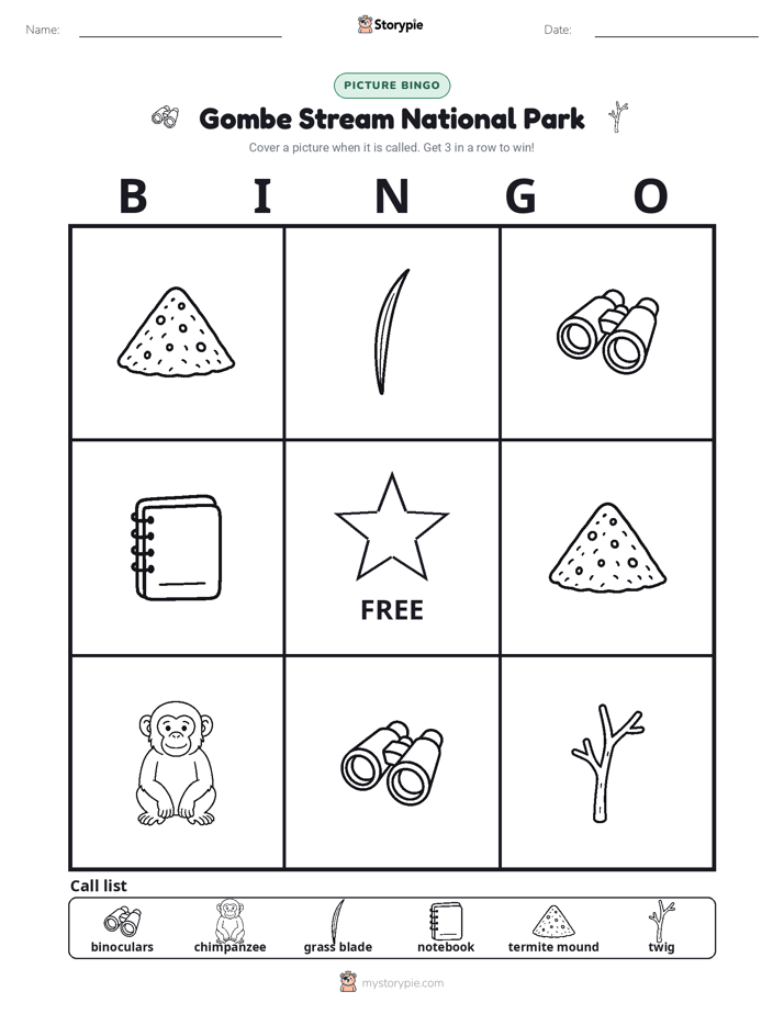 Picture Bingo