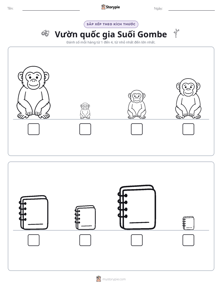 Thứ Tự Kích Thước