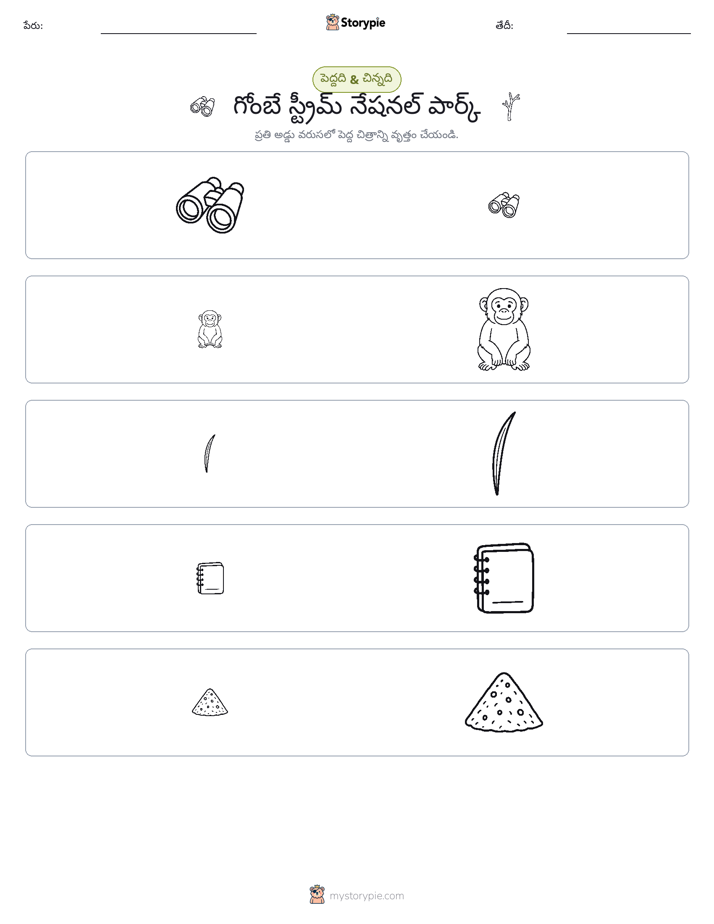 వర్గీకరణ