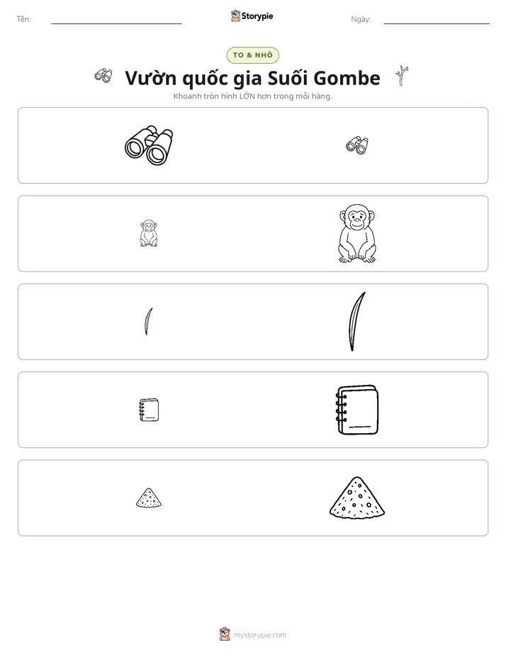 Phân Loại