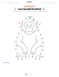 Jane Goodall Enstitüsü yazdırılabilir çalışma sayfası önizlemesi
