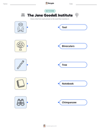 The Jane Goodall Institute printable worksheet preview