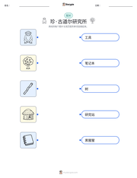 珍·古道尔研究所 可打印工作表预览