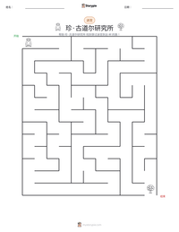 珍·古道尔研究所 可打印工作表预览