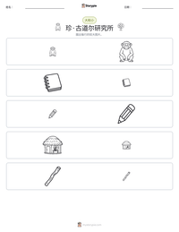 珍·古道尔研究所 可打印工作表预览