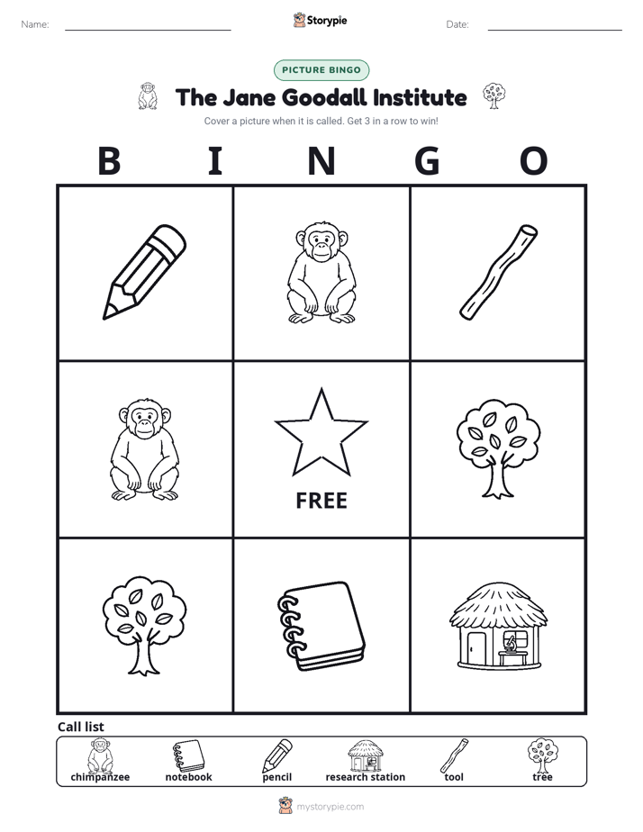 Picture Bingo